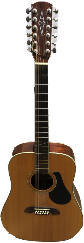 Alvarez 12-String Guitar